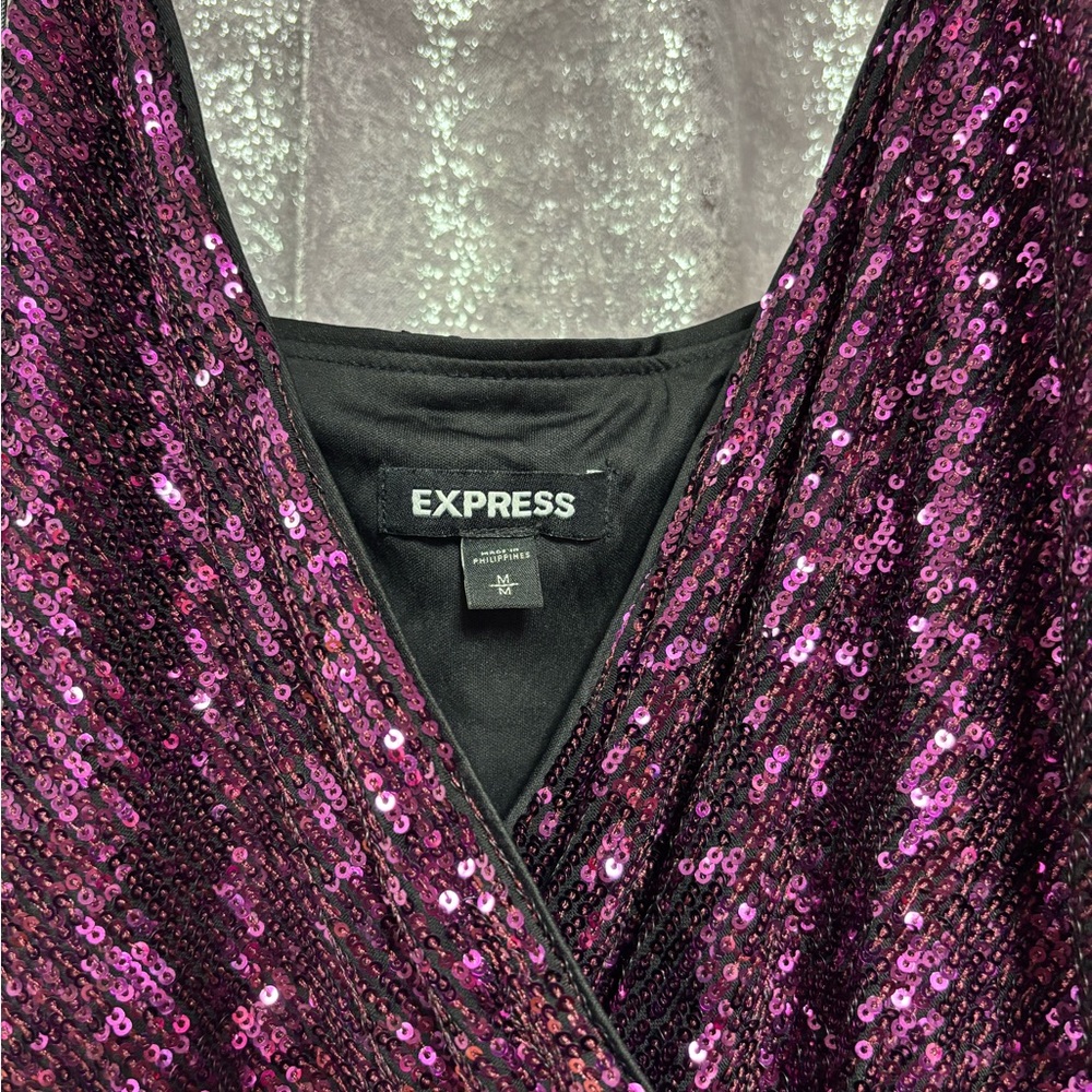 Express Purple Sequin Dress
